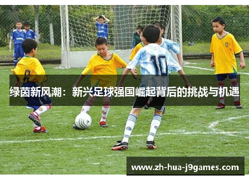 绿茵新风潮：新兴足球强国崛起背后的挑战与机遇